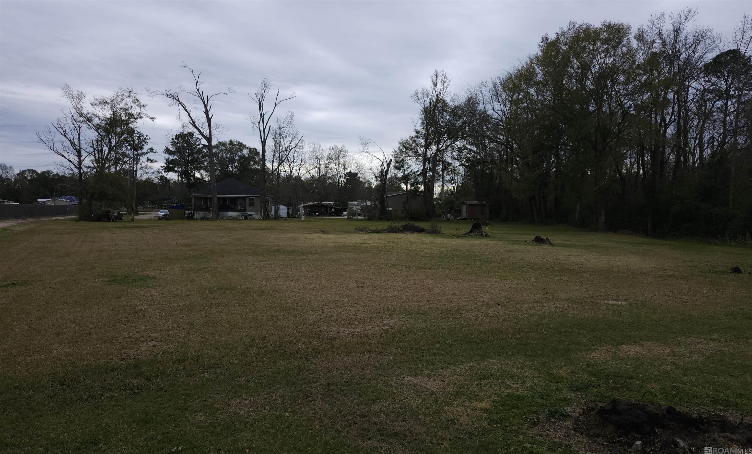 13660 Ball Park Rd, Walker, Louisiana image 2