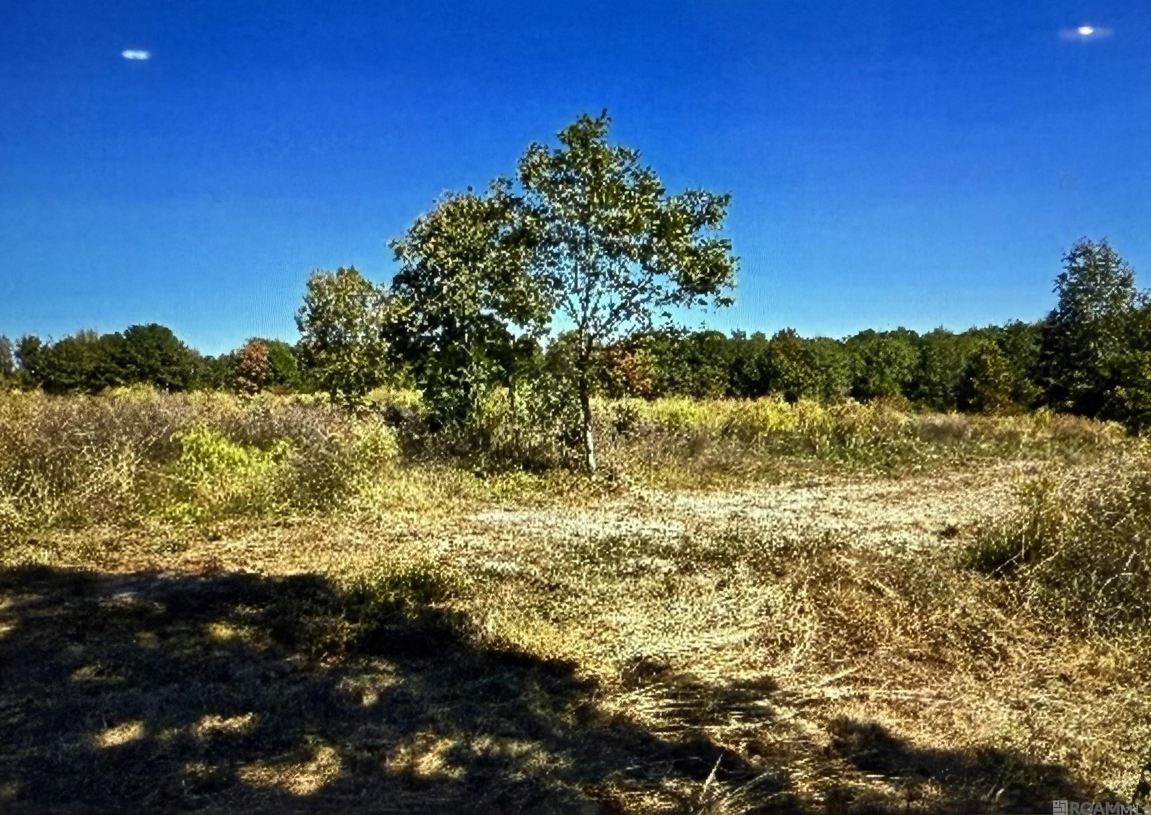 00 J L Robbins Road, Carson, Mississippi image 6