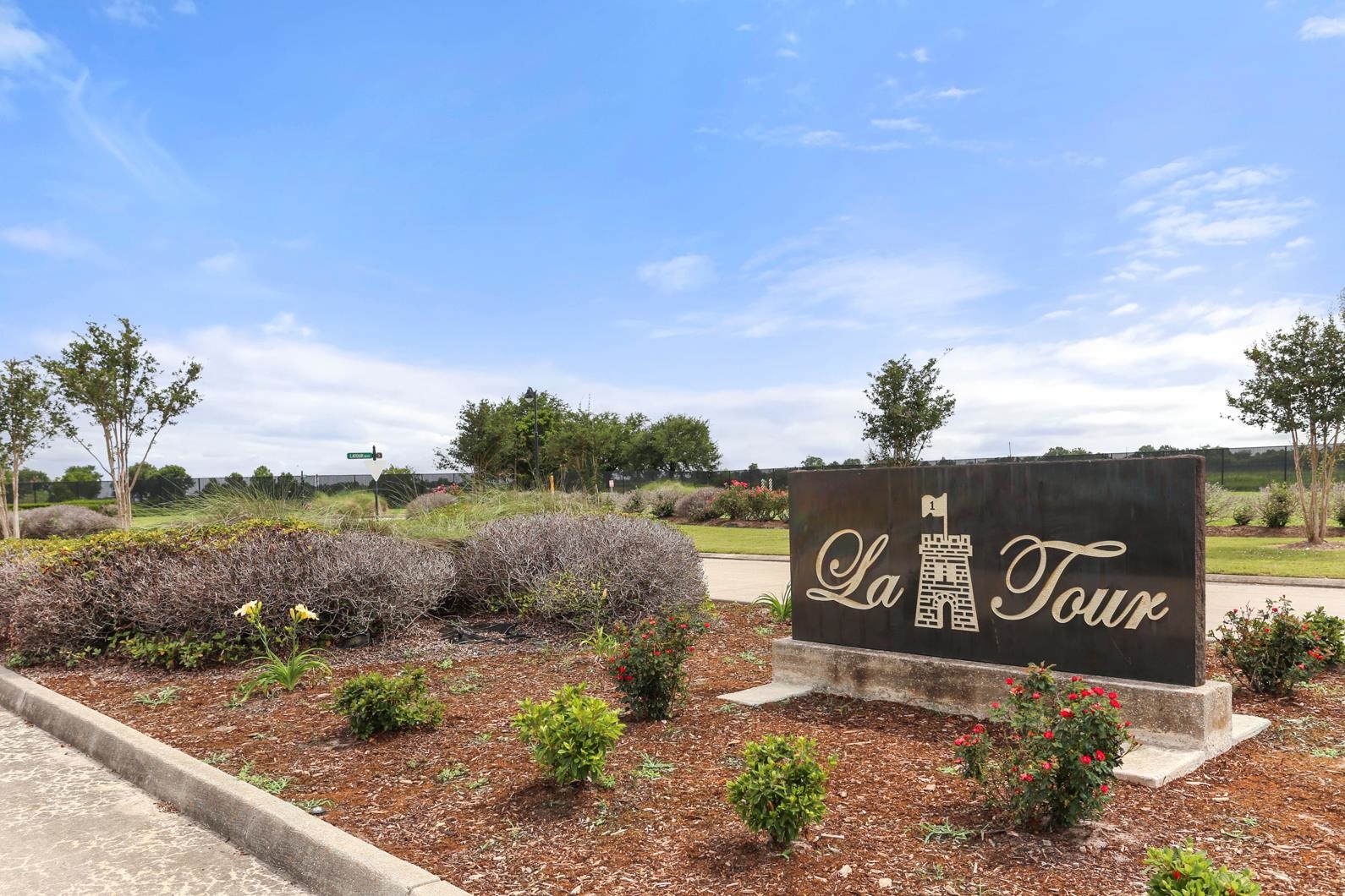 266 La Tour Boulevard, Mathews, Louisiana image 50