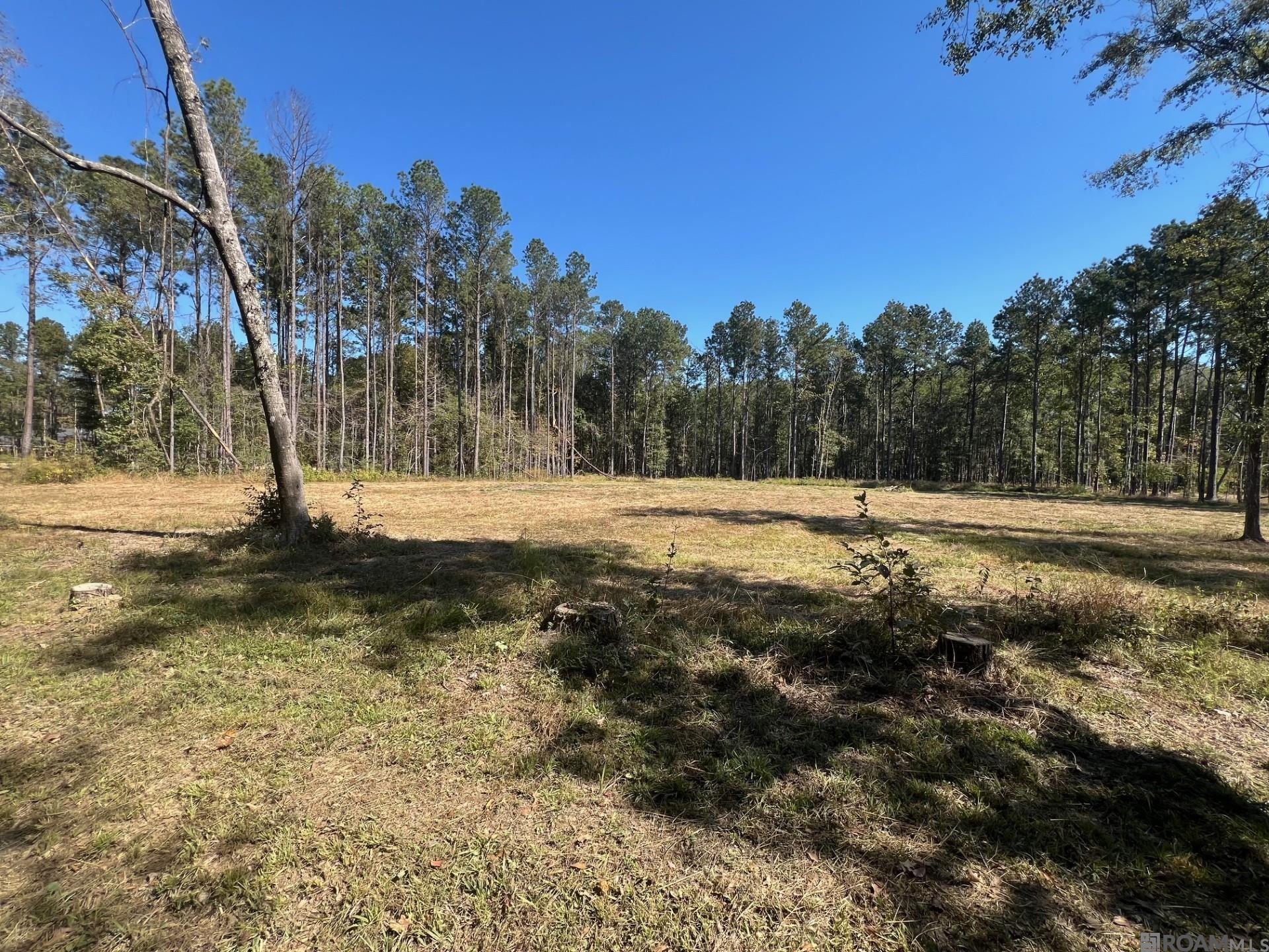 Lot 50 Burkett Ln, Denham Springs, Louisiana image 3