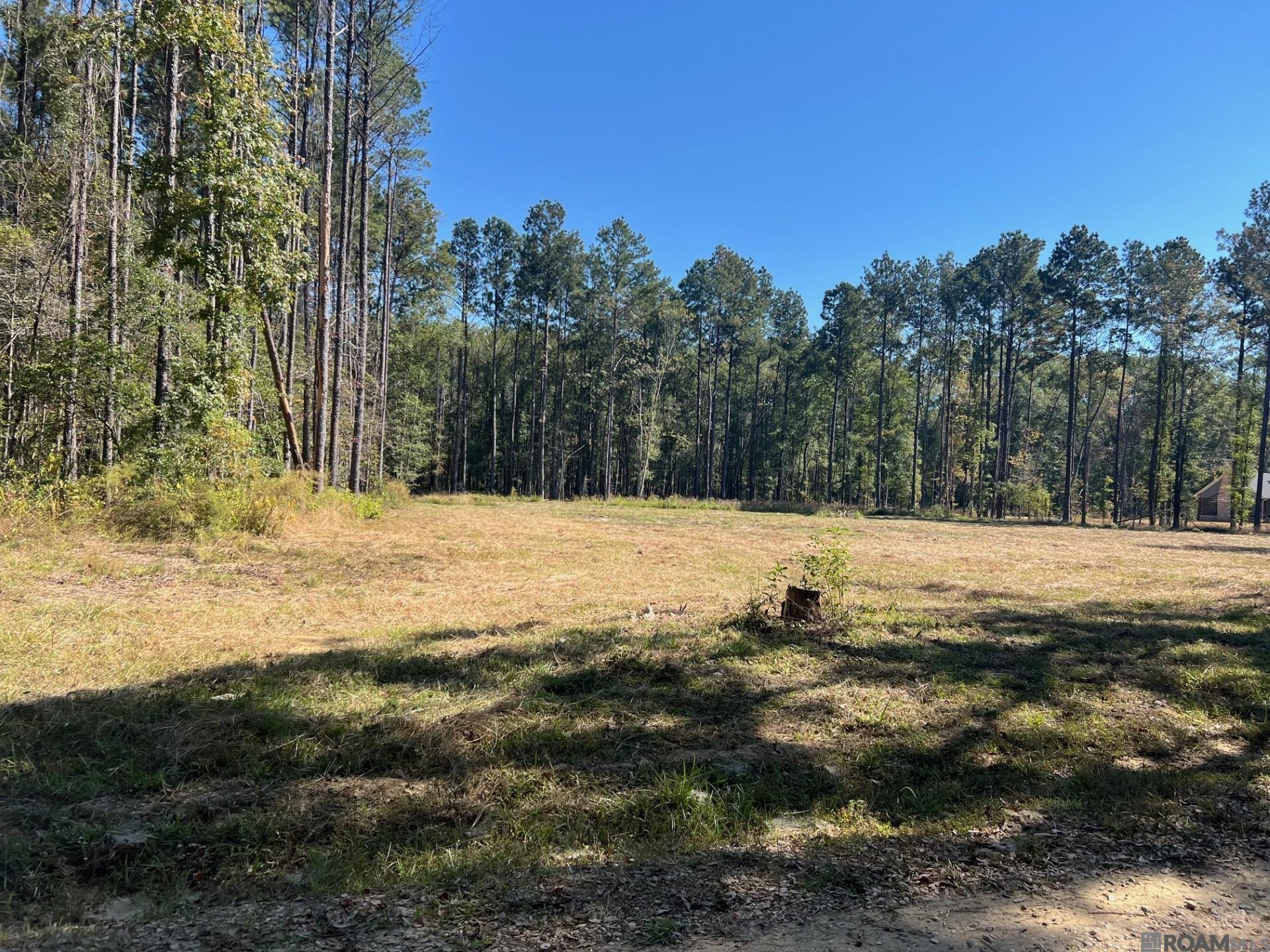 Lot 50 Burkett Ln, Denham Springs, Louisiana image 1