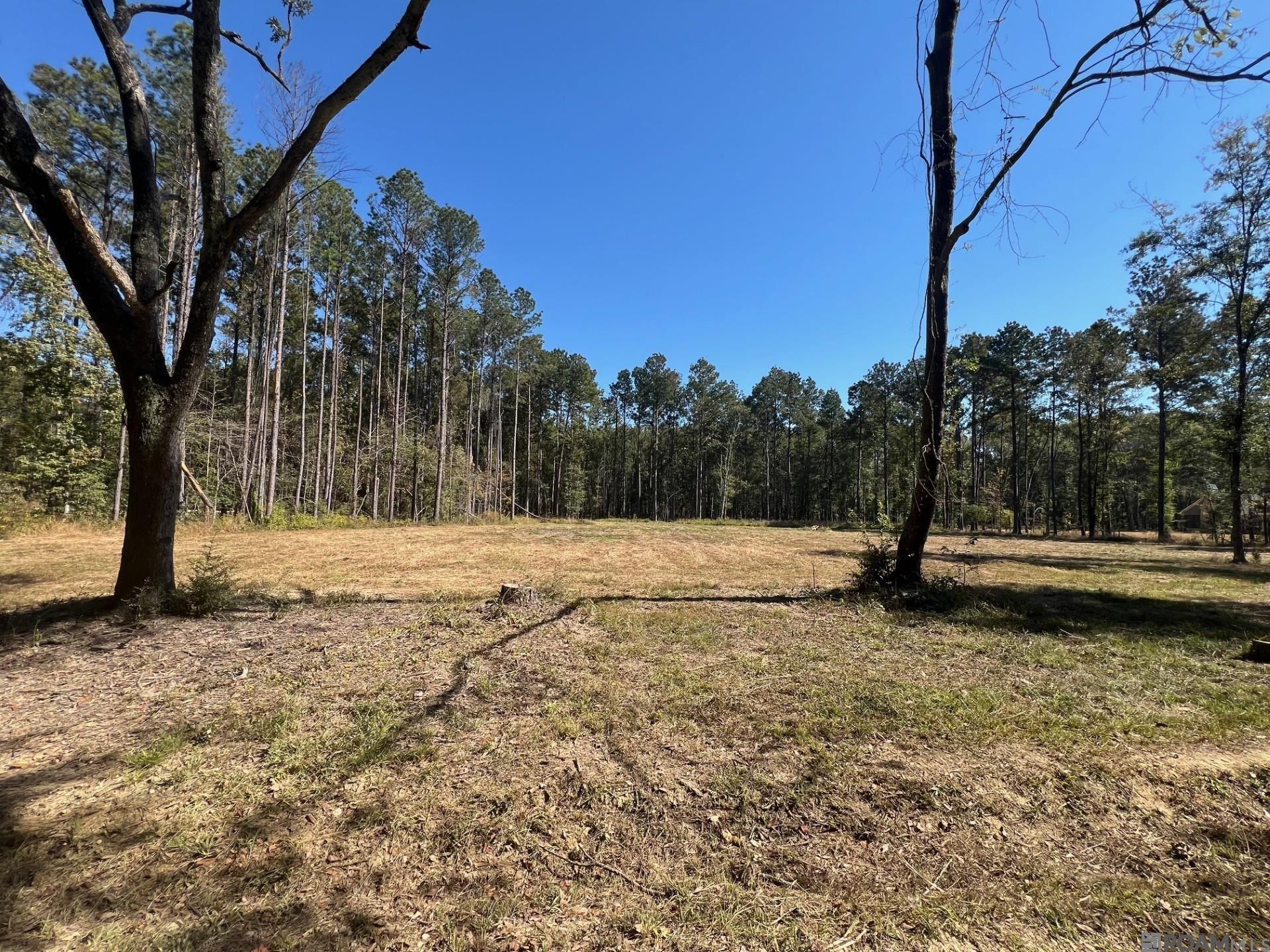 Lot 50 Burkett Ln, Denham Springs, Louisiana image 2