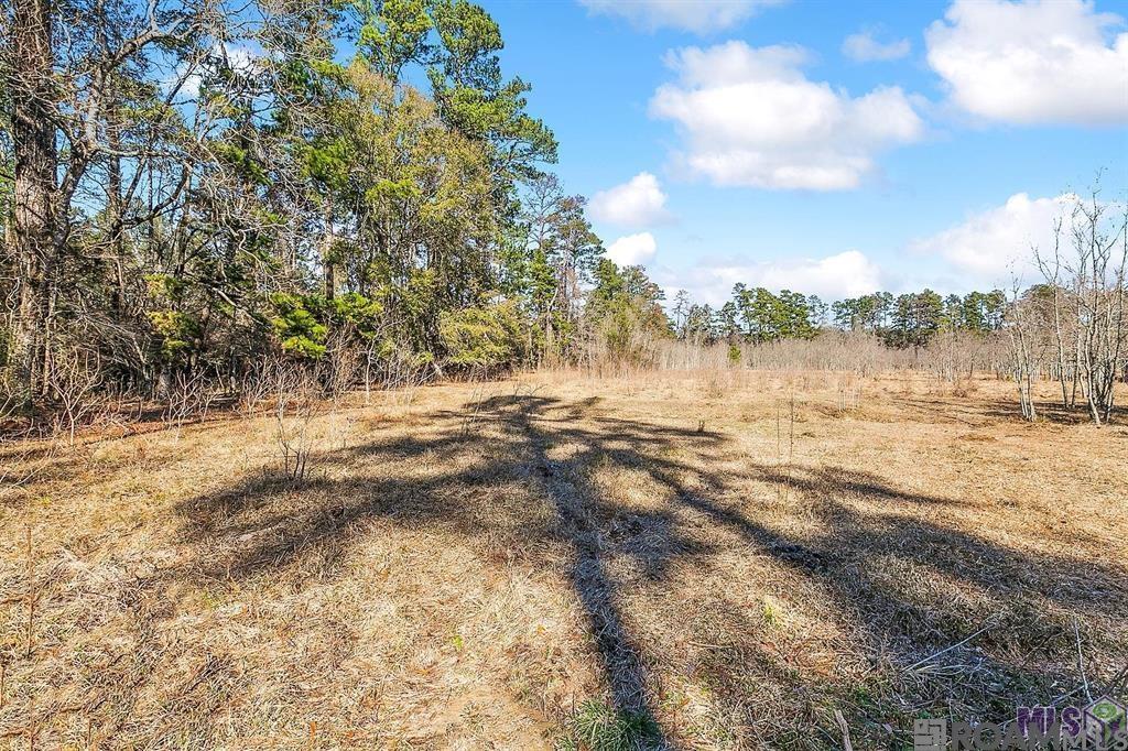 Tract A Leroe Ln, Walker, Louisiana image 17
