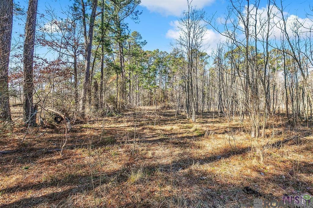 Tract A Leroe Ln, Walker, Louisiana image 16