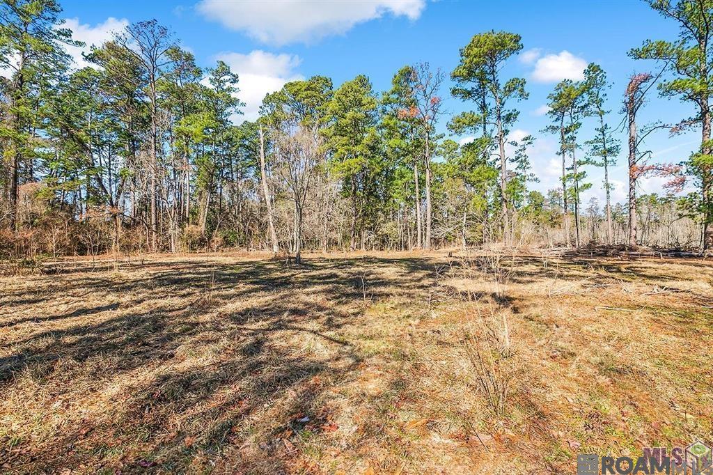 Tract A Leroe Ln, Walker, Louisiana image 11