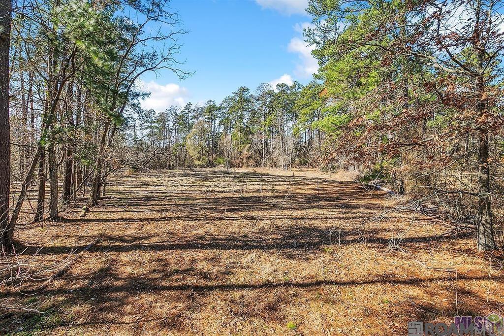 Tract A Leroe Ln, Walker, Louisiana image 13