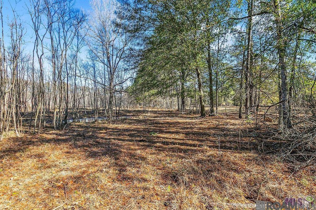 Tract A Leroe Ln, Walker, Louisiana image 15