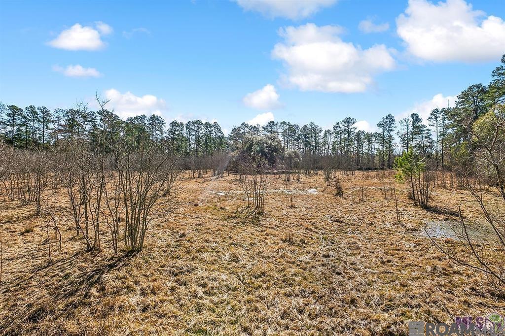 Tract A Leroe Ln, Walker, Louisiana image 6