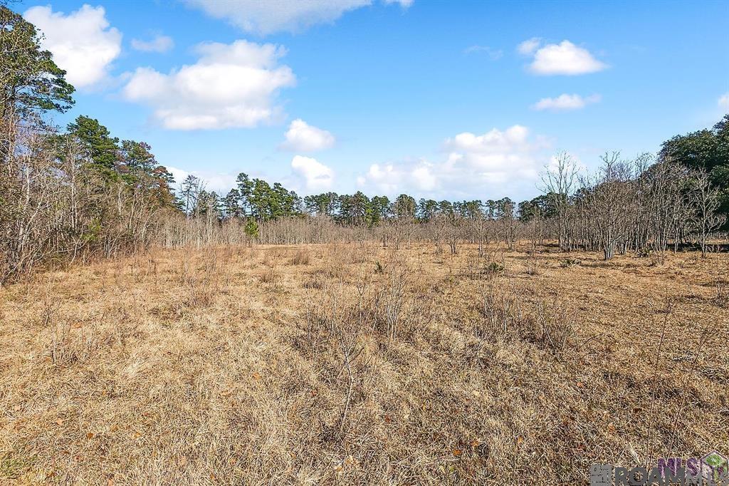 Tract A Leroe Ln, Walker, Louisiana image 2