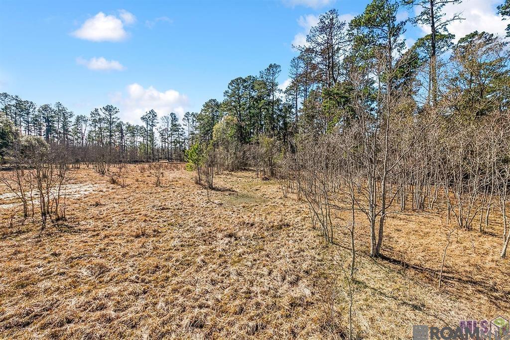 Tract A Leroe Ln, Walker, Louisiana image 3