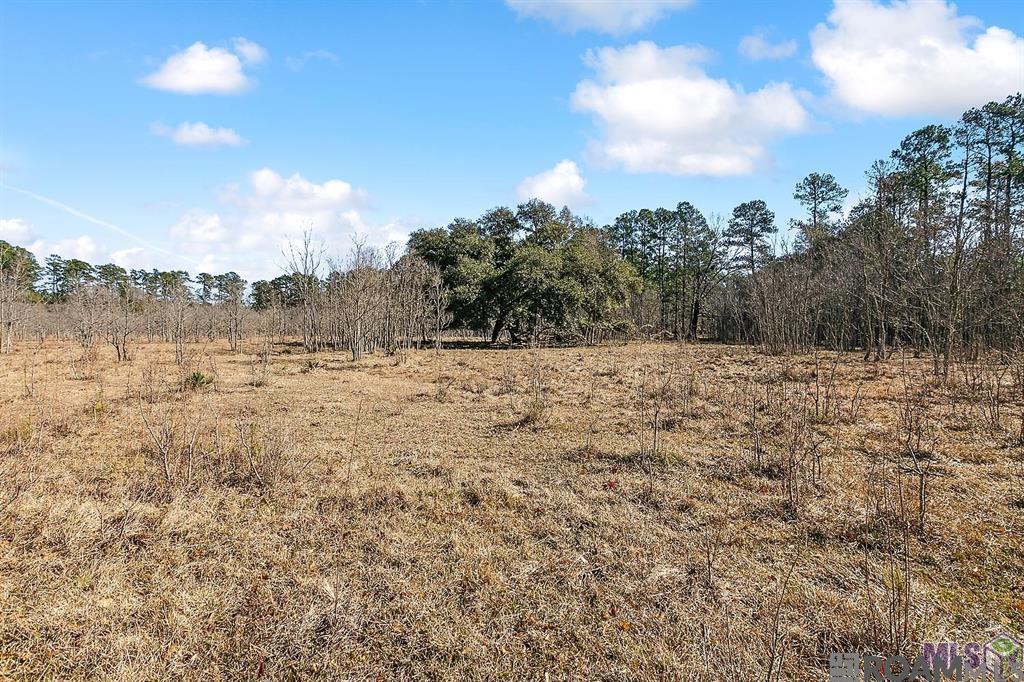 Tract A Leroe Ln, Walker, Louisiana image 1