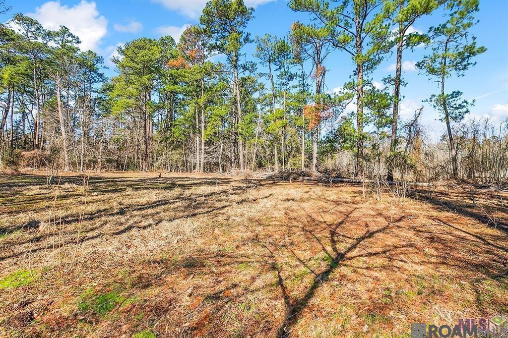 Tract A Leroe Ln, Walker, Louisiana image 10
