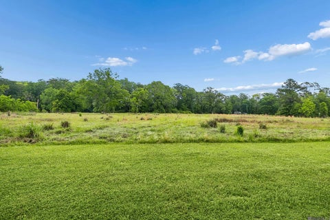 Vacant Land For Sale - 17037 La Hwy 431<br/> Ascension County, Prairieville, LA 70769