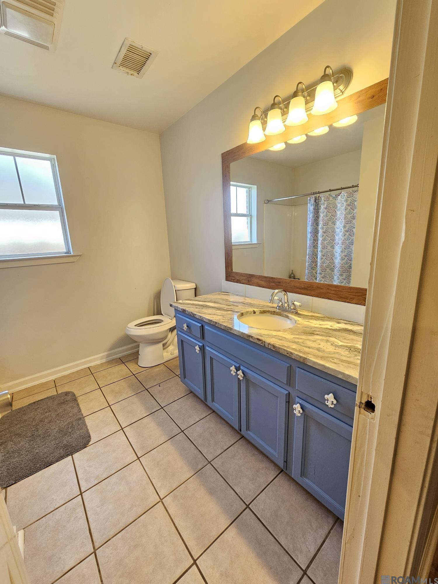 9874 Asheville Dr, Denham Springs, Louisiana image 21