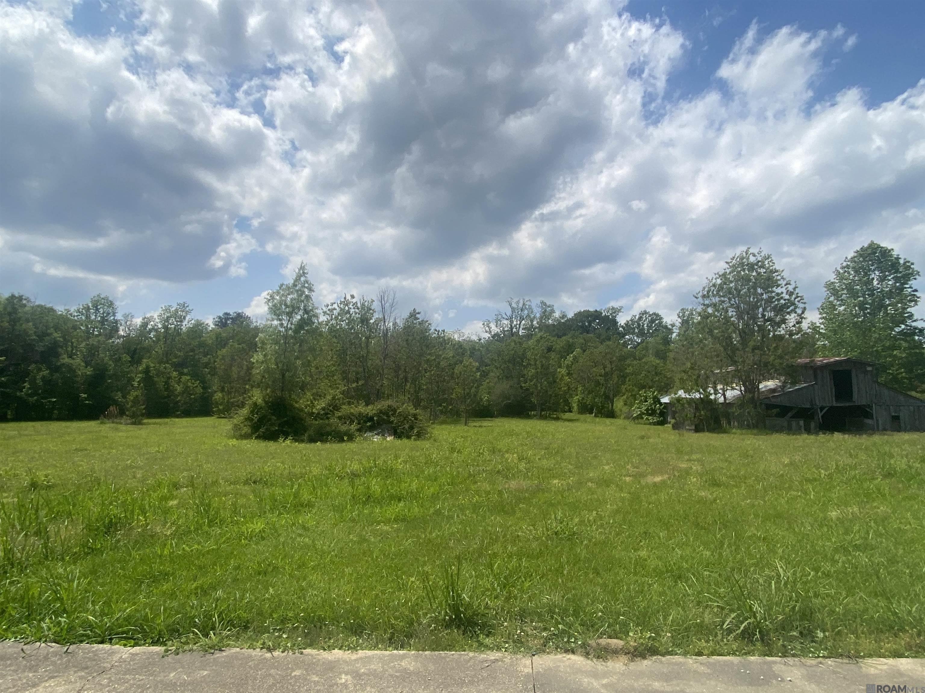 2440 La Hwy 958, Slaughter, Louisiana image 27