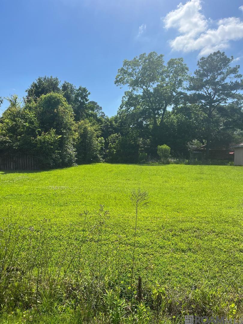 13581 Clark Dr, Baton Rouge, Louisiana image 3