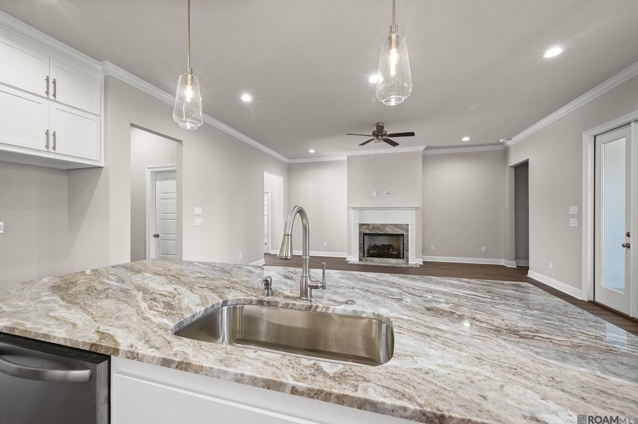 37475 Cattle Ave, Prairieville, Louisiana image 9