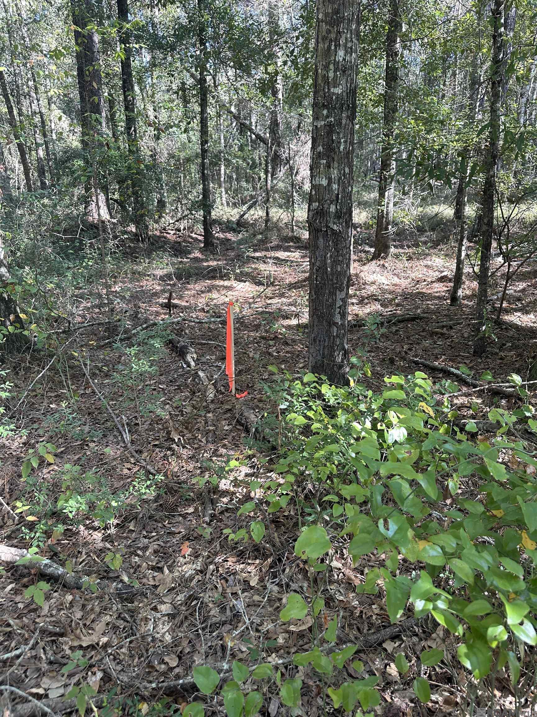 5.5 Acres Heritage Acres Ln, Robert, Louisiana image 15