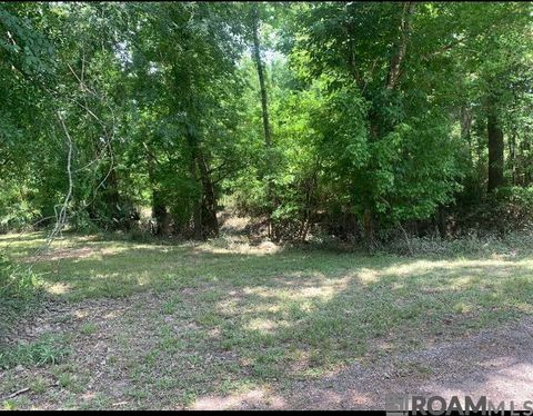 Vacant Land For Sale - Amite River Rd<br/> Baton Rouge, LA 70817