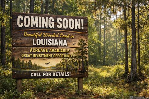 Vacant Land For Sale - 4-A-1 La Hwy 1032<br/> Denham Springs, LA 70726