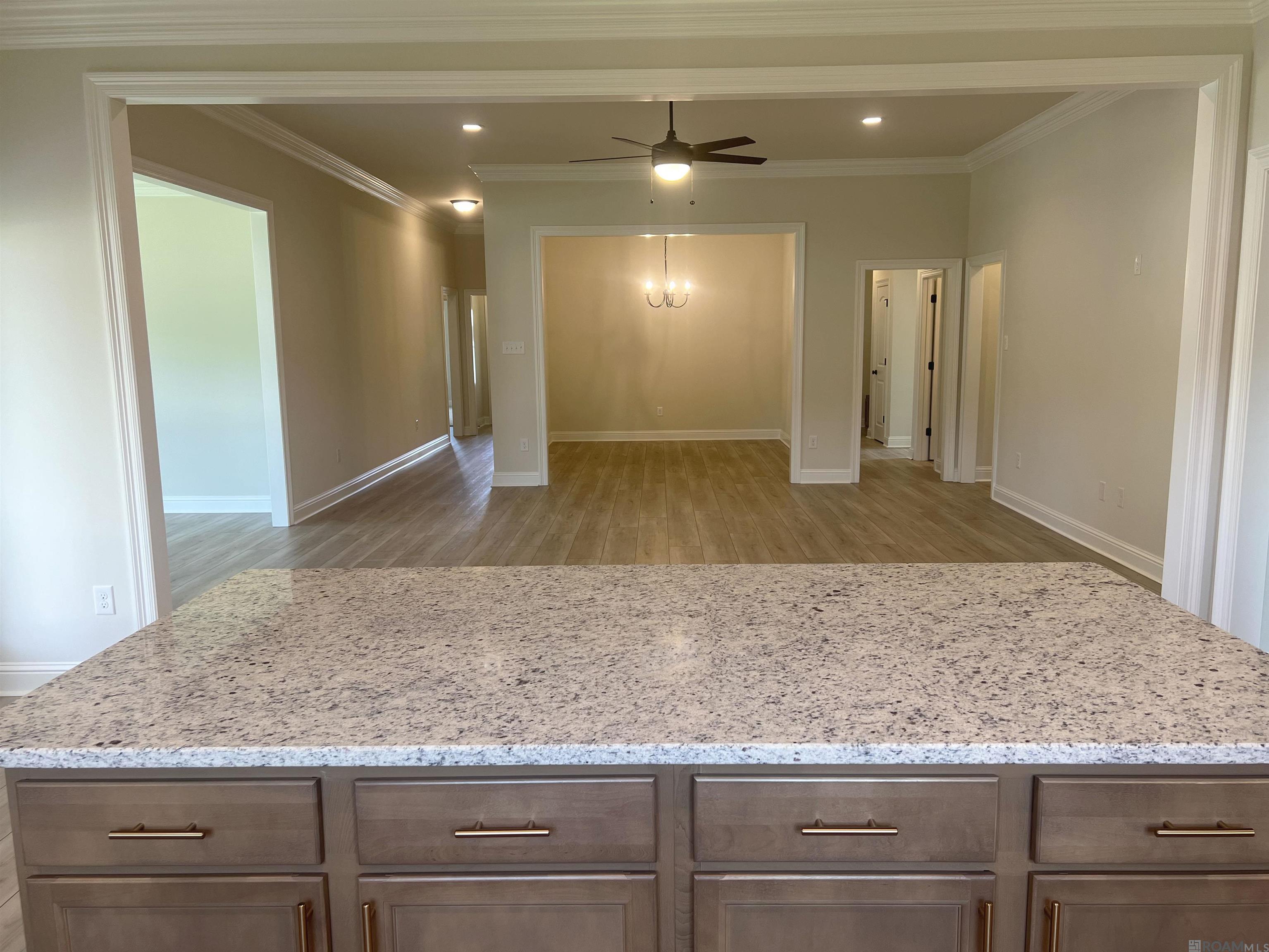 14284 Zebra Lake Dr, Denham Springs, Louisiana image 6