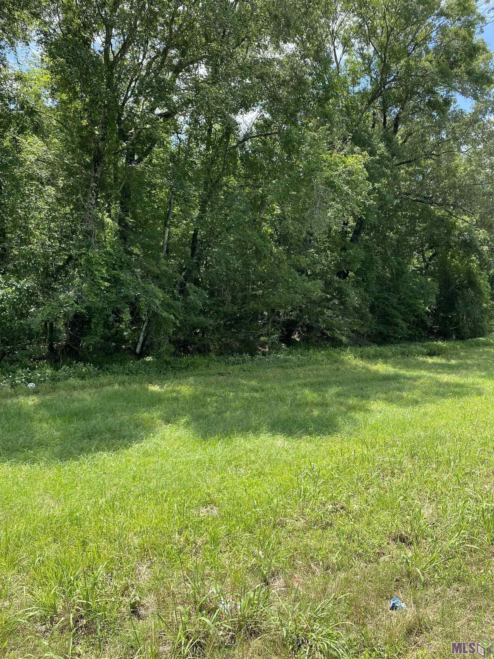 TBD Plank Rd, Baker, Louisiana image 2