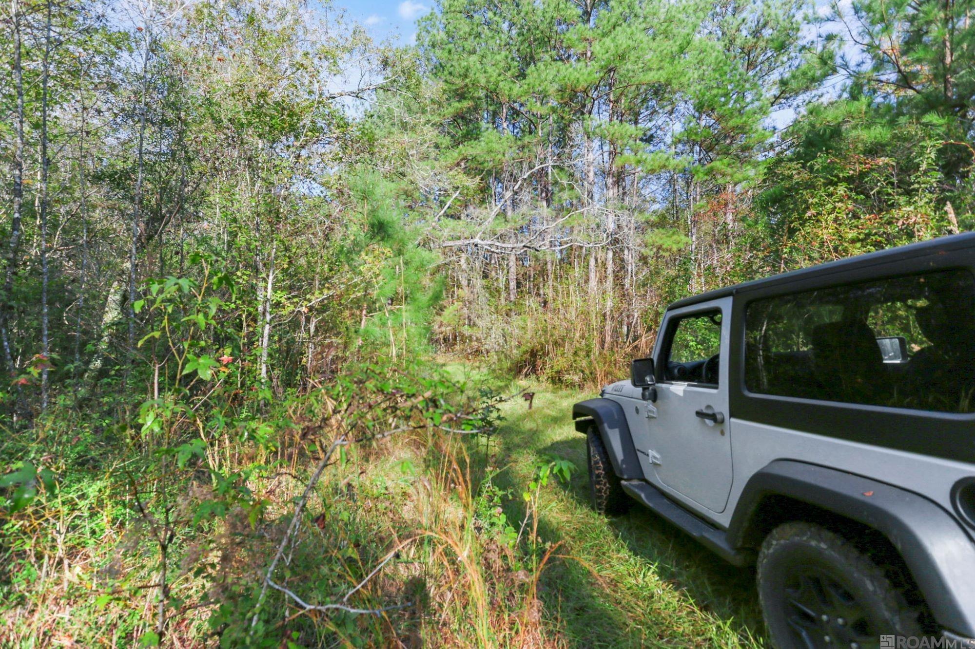 13289 Weaver Rd, Saint Francisville, Louisiana image 4