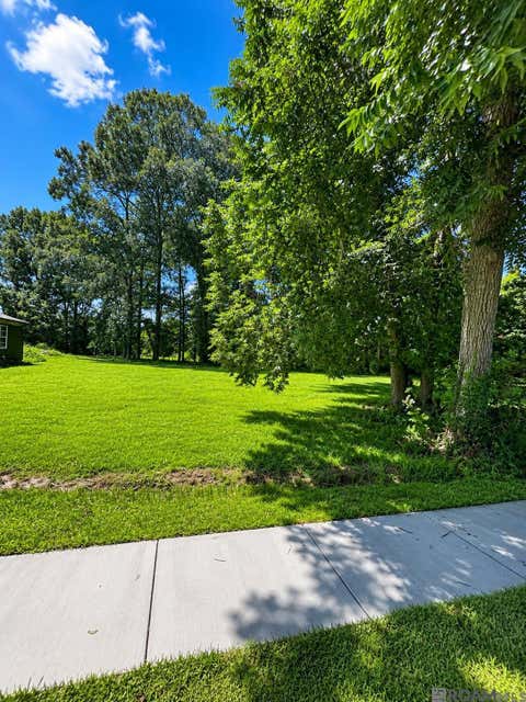Vacant Land For Sale - Jake Ln<br/> Sunshine, LA 70780