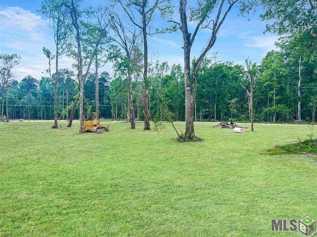 EK-6 Springfield Rd, Walker, Louisiana image 3