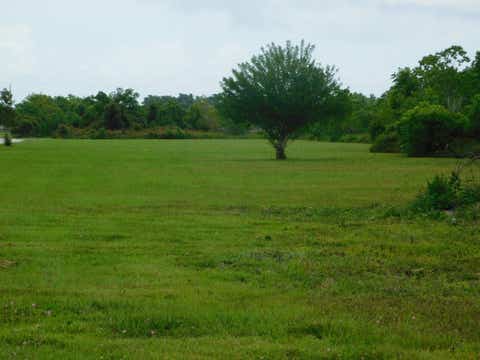 Vacant Land For Sale - TBD Highway 308<br/> Cut Off, LA 70345