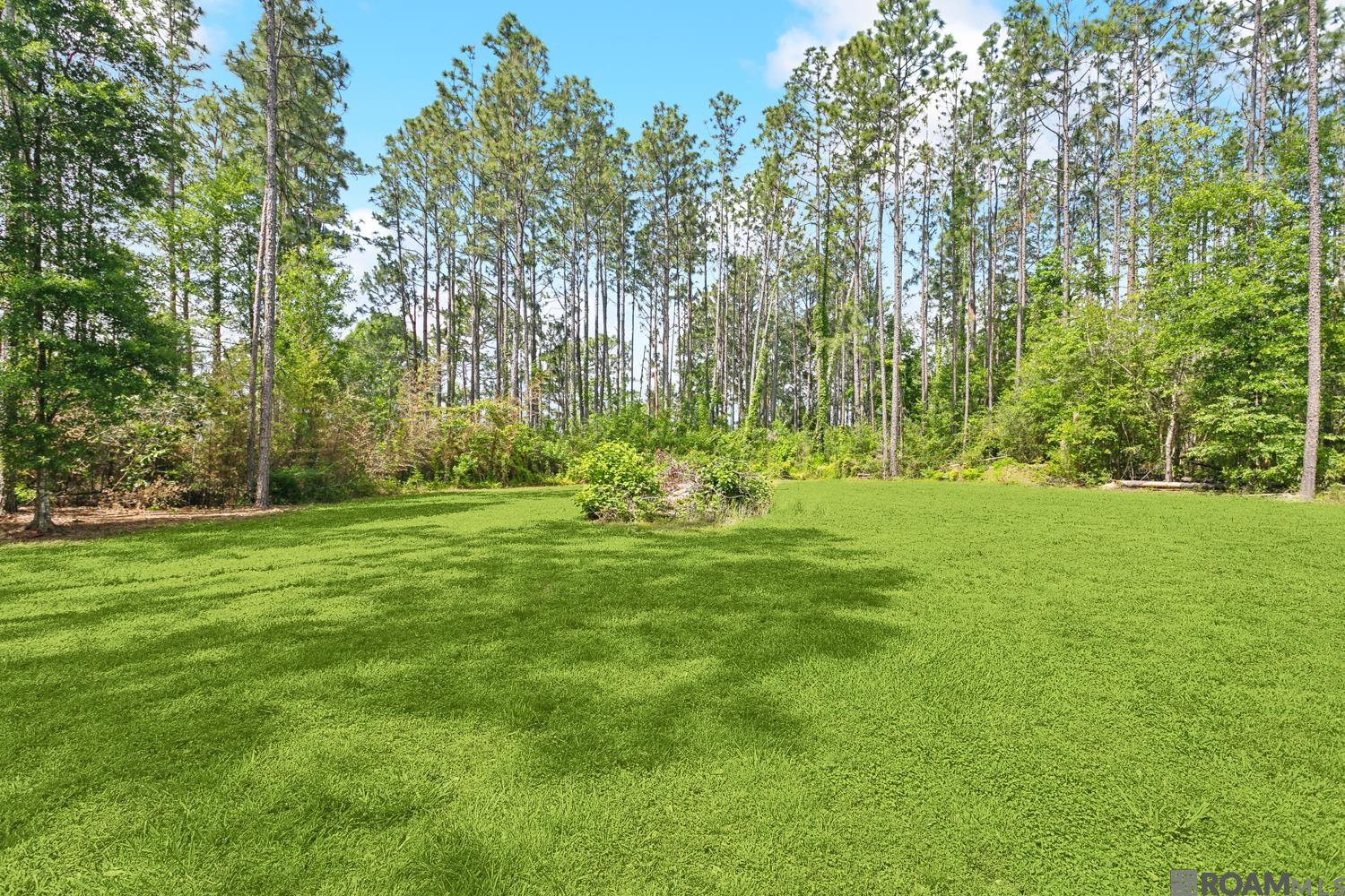 22432 Rodeo Dr, Amite, Louisiana image 14
