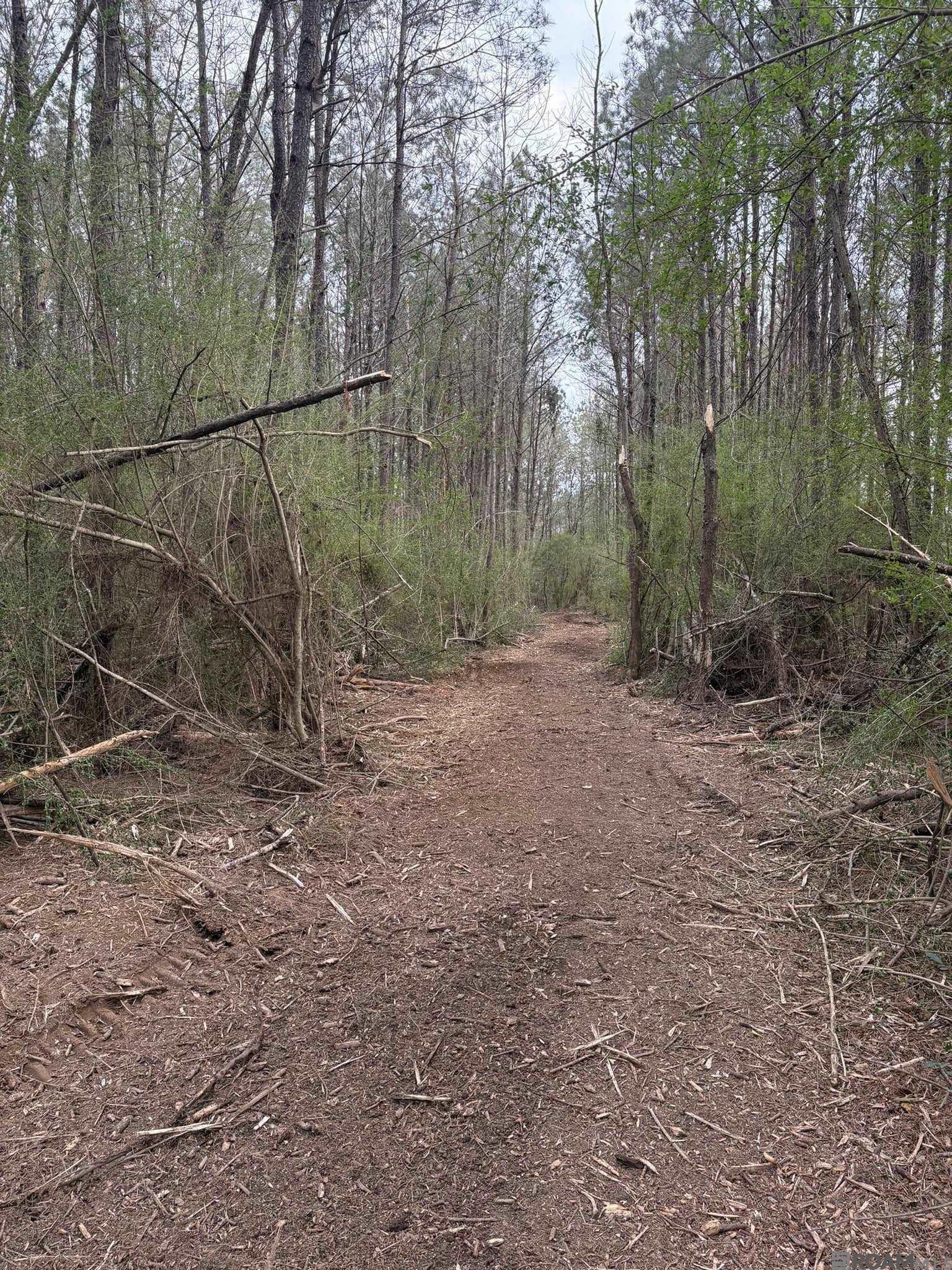 Tract A Harts Lane, Kentwood, Louisiana image 9