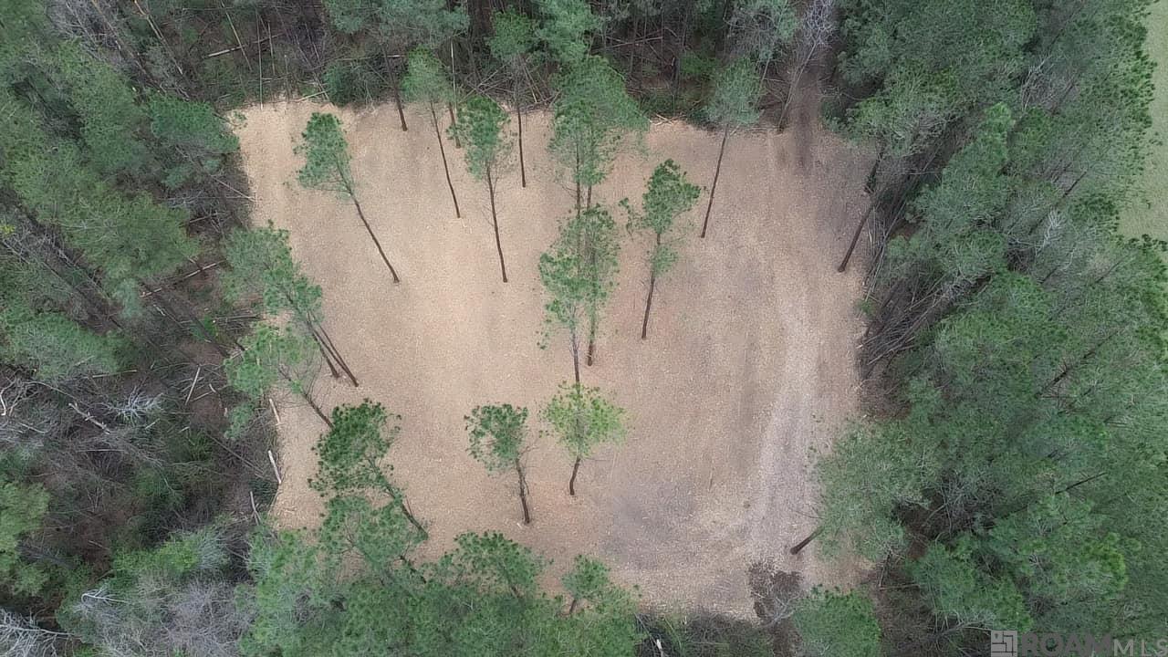 Tract A Harts Lane, Kentwood, Louisiana image 6