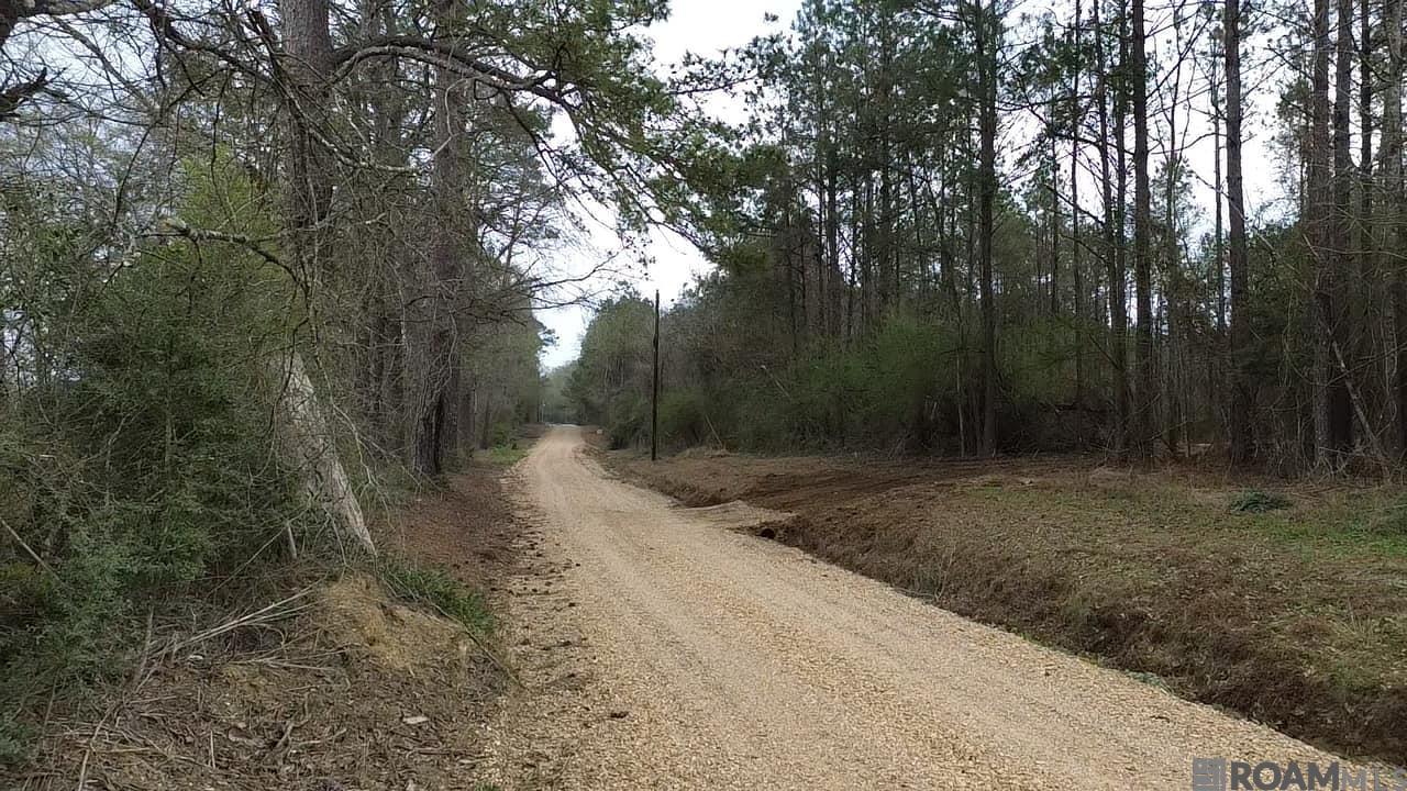 Tract A Harts Lane, Kentwood, Louisiana image 4