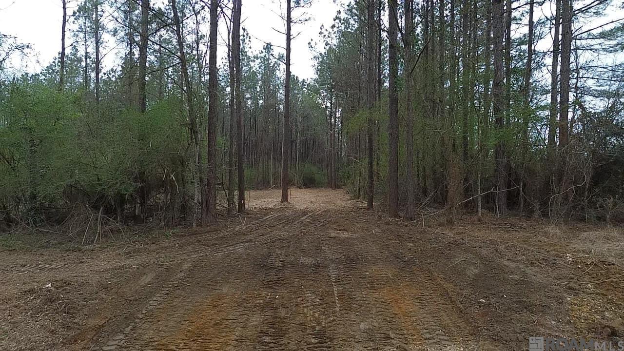 Tract A Harts Lane, Kentwood, Louisiana image 5
