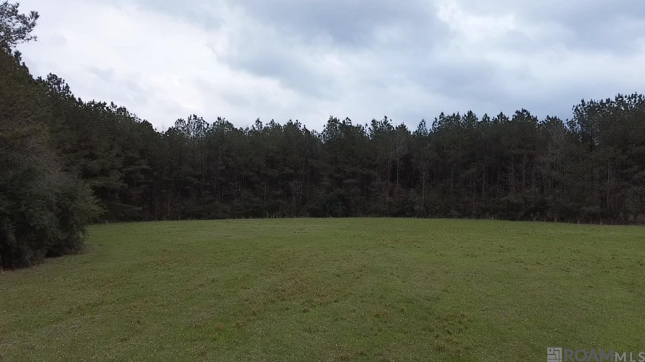 Tract A Harts Lane, Kentwood, Louisiana image 1