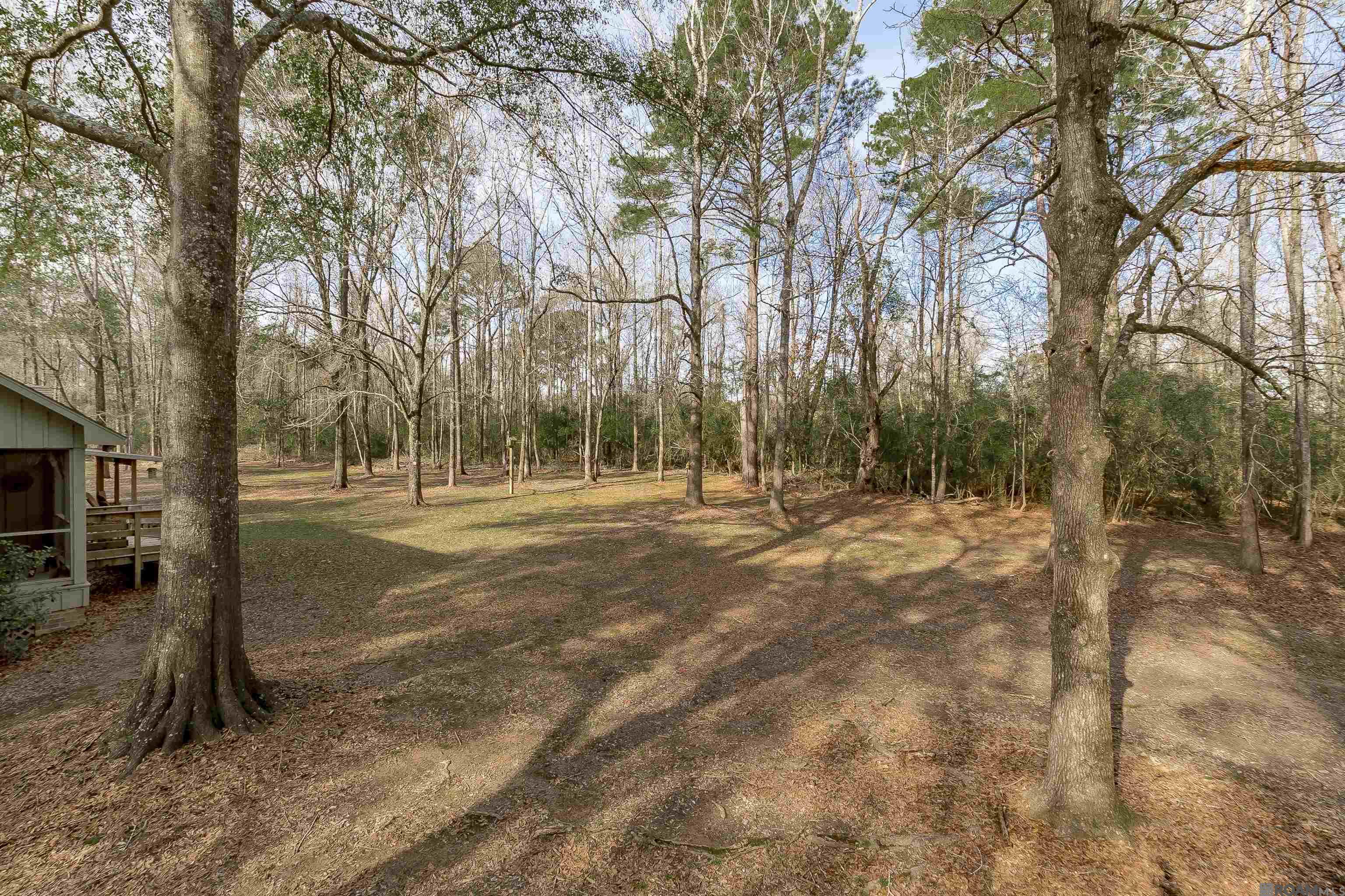 15505 La Hwy 10 Ln, Saint Francisville, Louisiana image 10