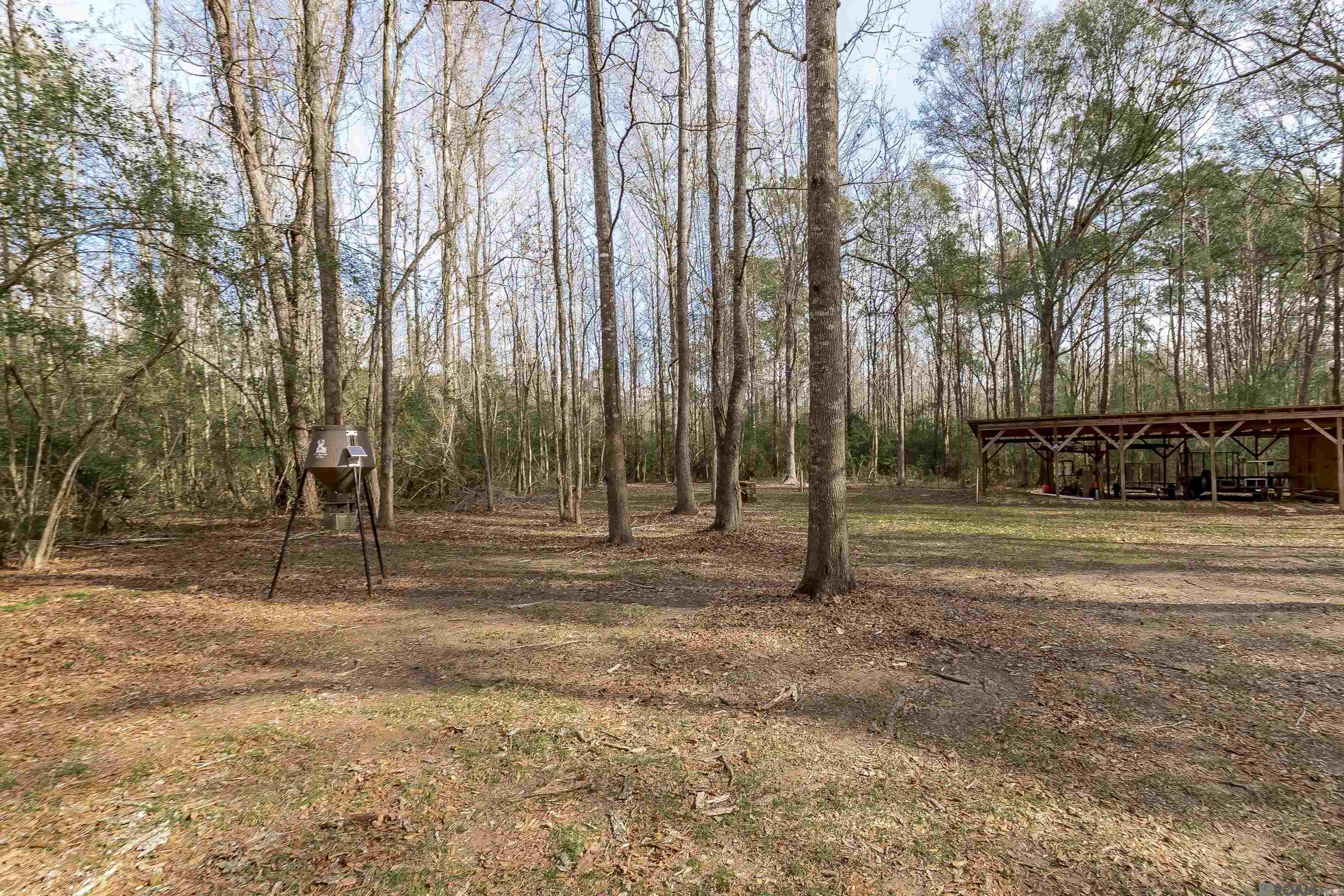 15505 La Hwy 10 Ln, Saint Francisville, Louisiana image 13