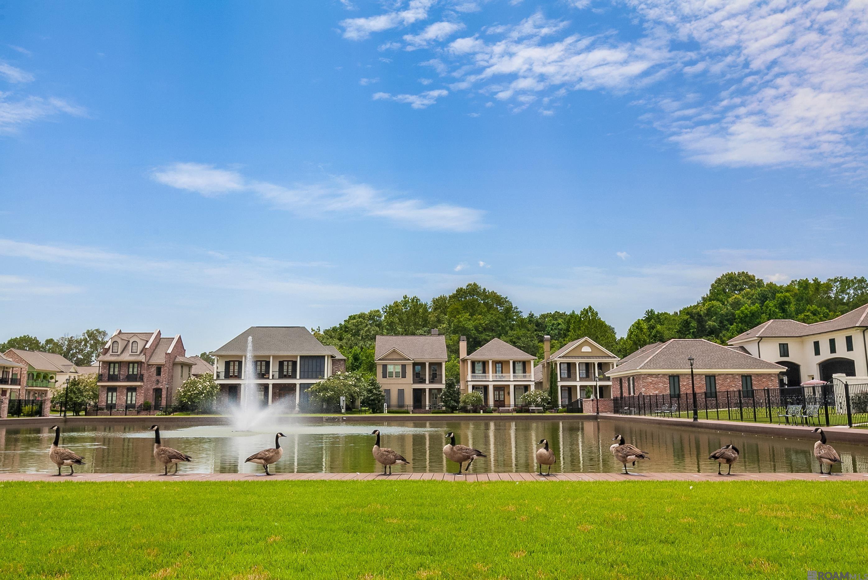 7341 N Eisworth Ave, Baton Rouge, Louisiana image 33