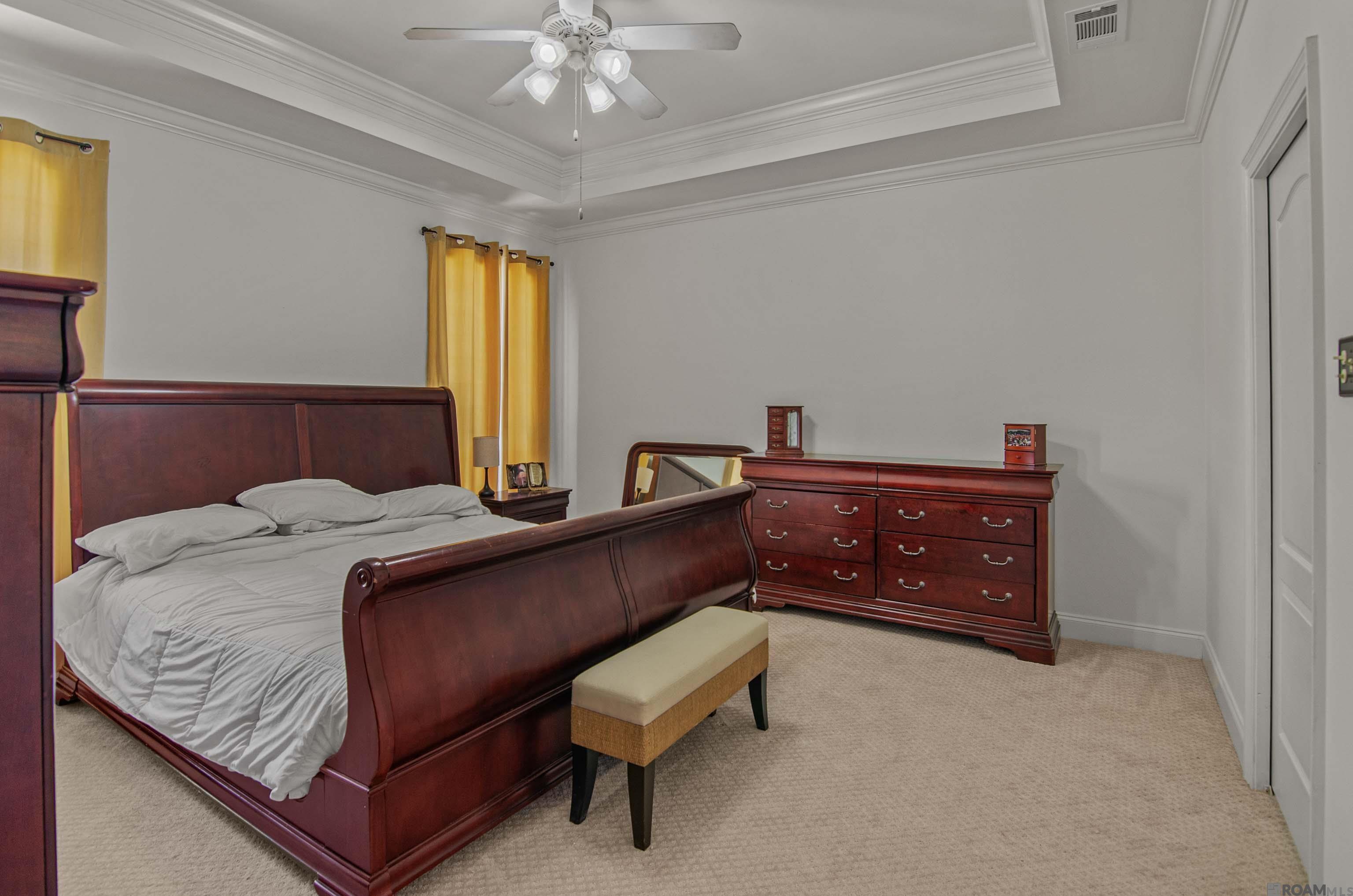 15078 Hunter Creek Ct, Prairieville, Louisiana image 15