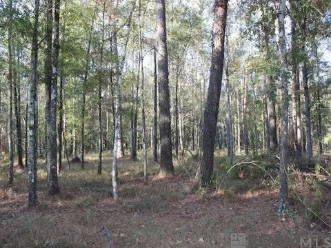 Vacant Land For Sale - 28545 Coker Vail Rd<br/> Holden, LA 70744
