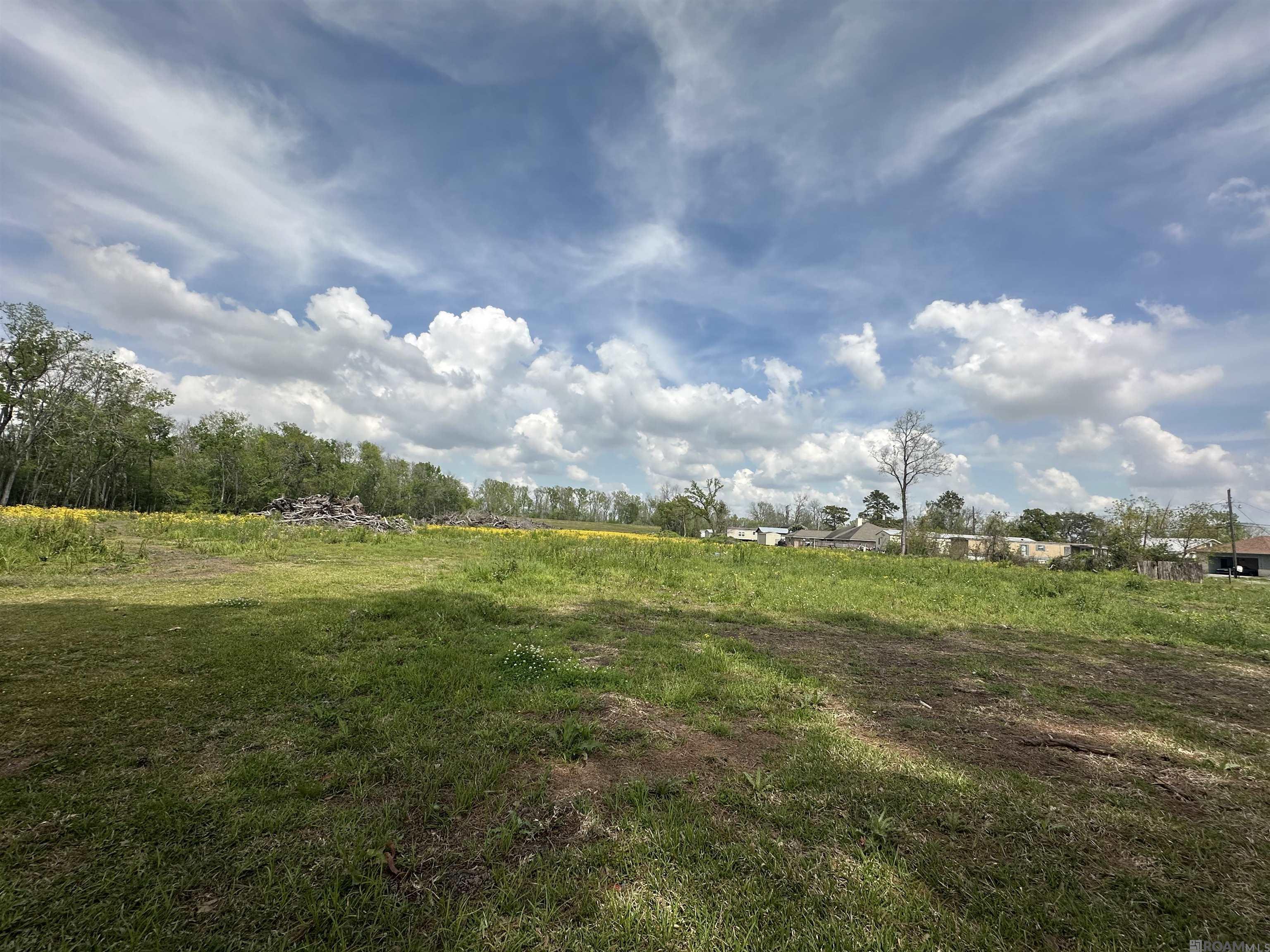 00000 River Oaks Dr, Donaldsonville, Louisiana image 2