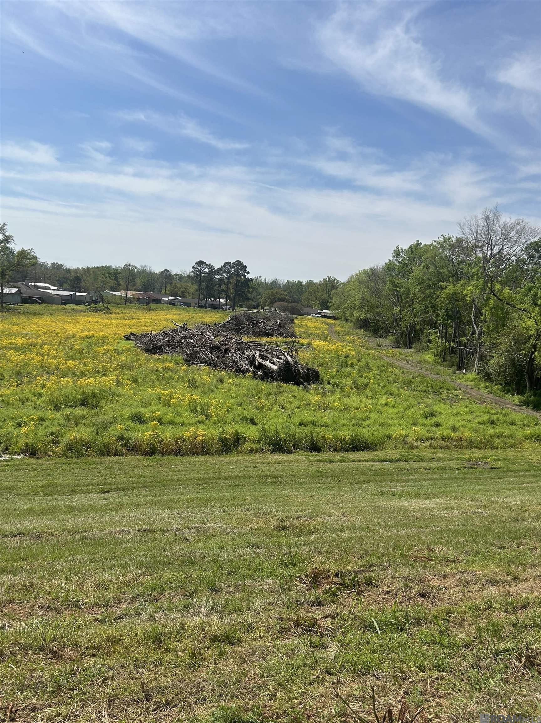 00000 River Oaks Dr, Donaldsonville, Louisiana image 3