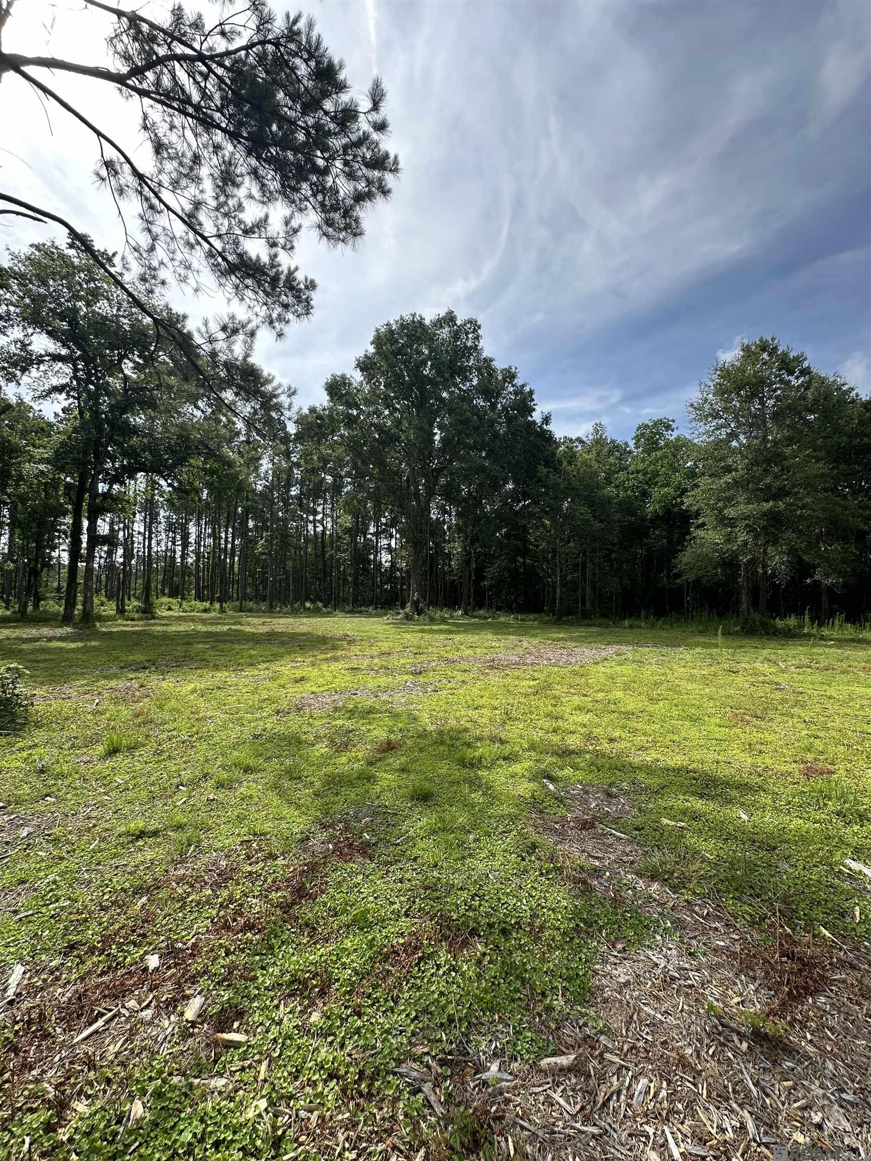 Tract C & D LA La Hwy 16, Denham Springs, Louisiana image 6
