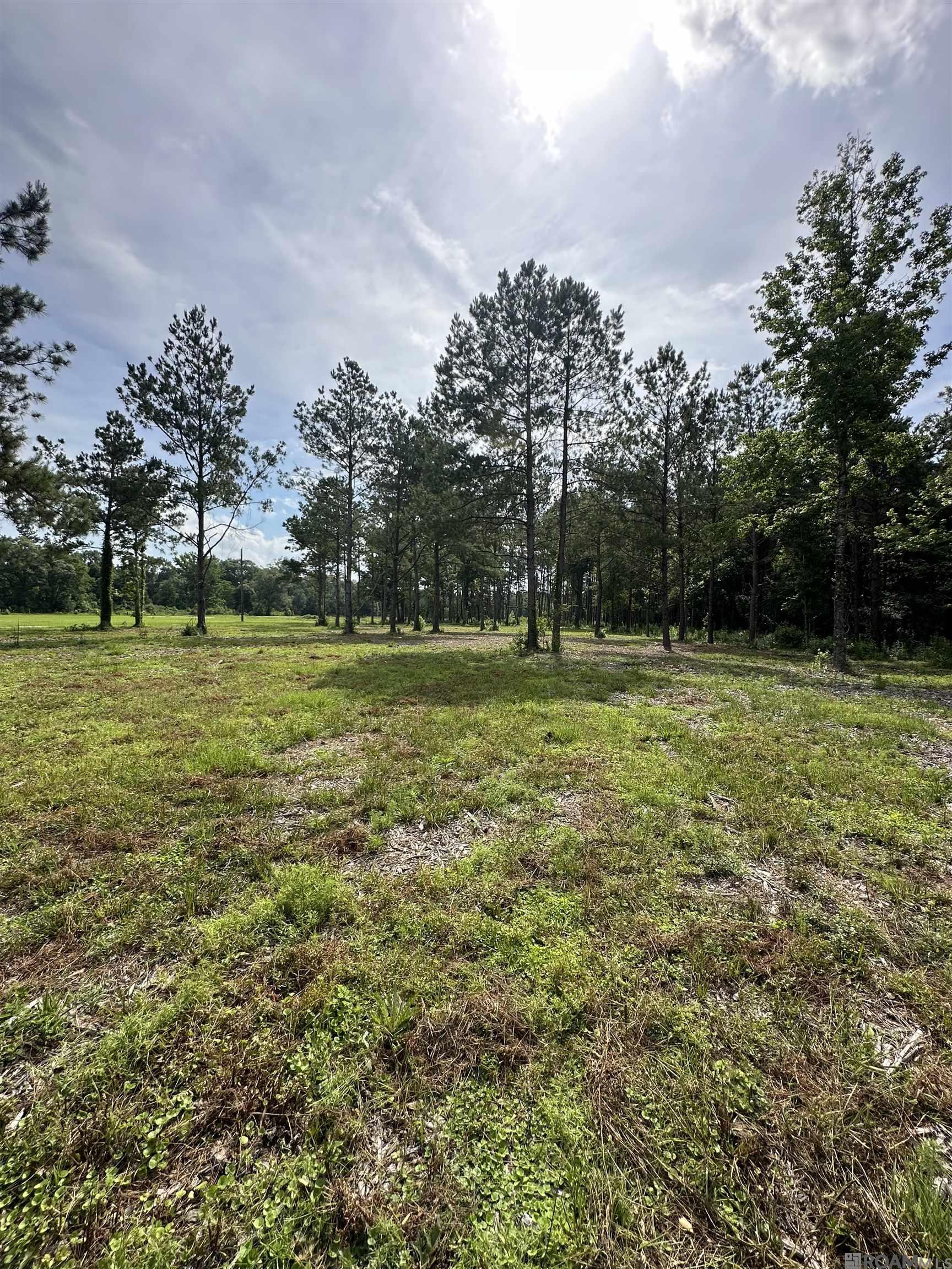Tract C & D LA La Hwy 16, Denham Springs, Louisiana image 2