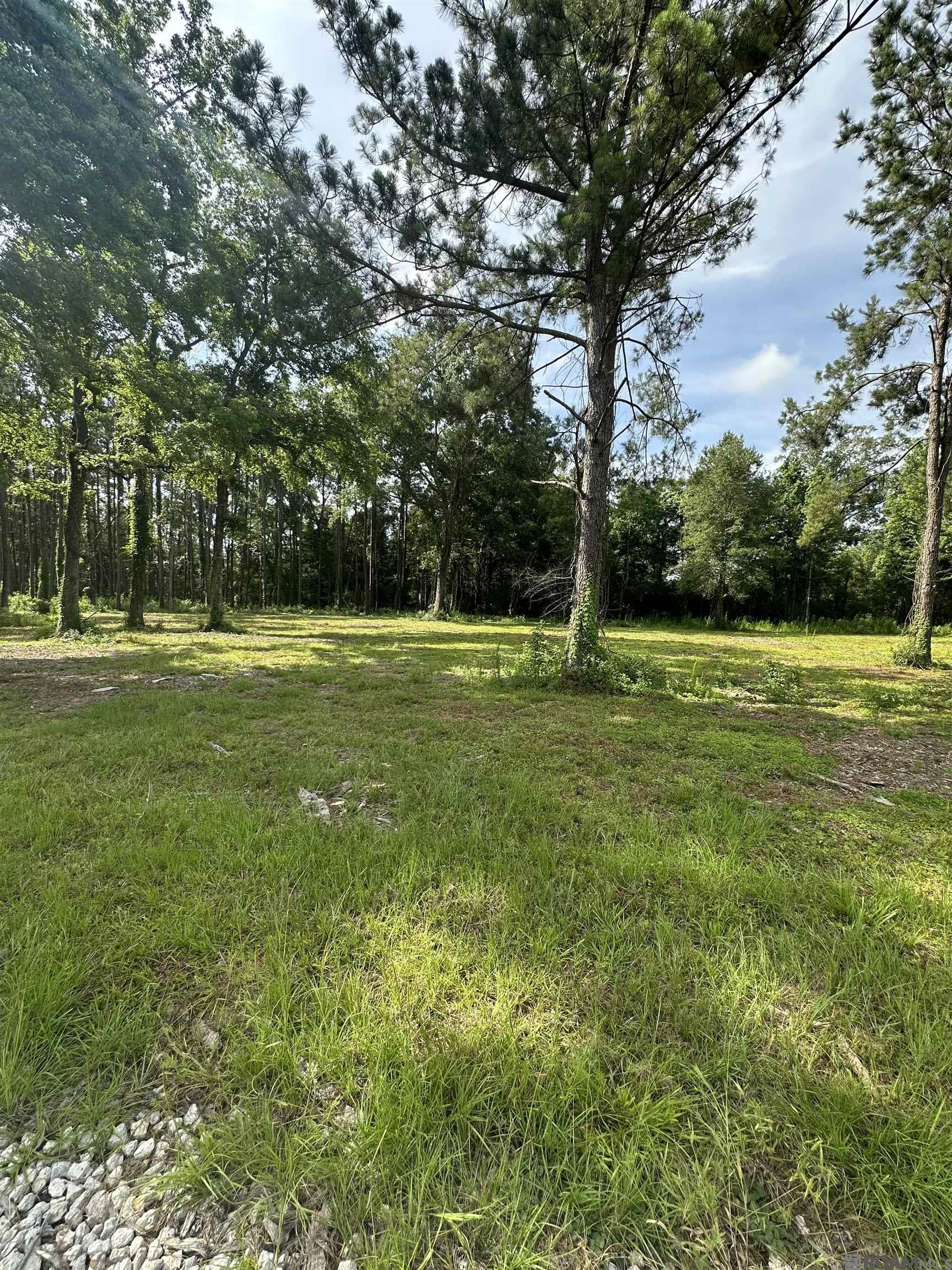 Tract C & D LA La Hwy 16, Denham Springs, Louisiana image 5