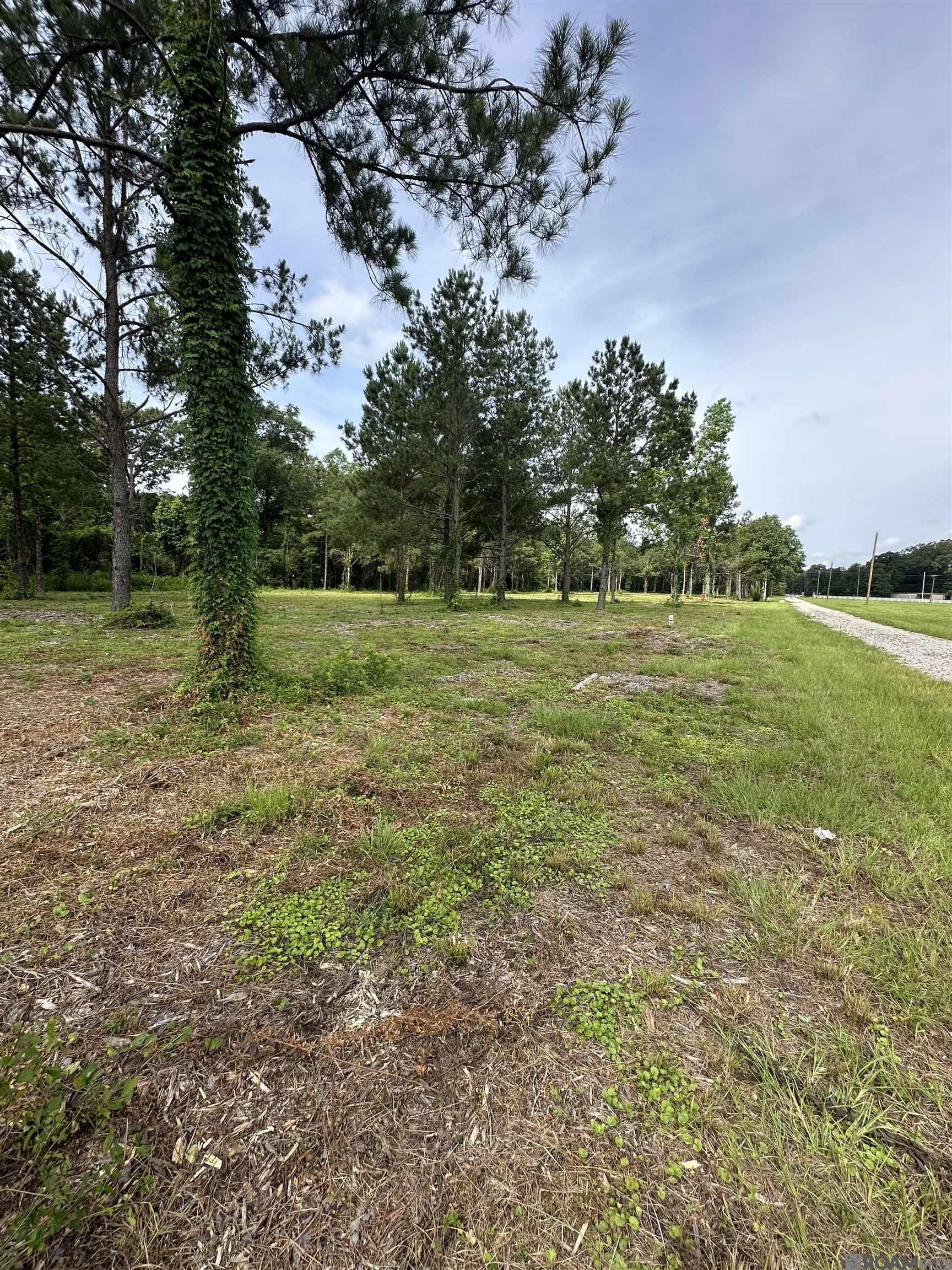 Tract C & D LA La Hwy 16, Denham Springs, Louisiana image 7