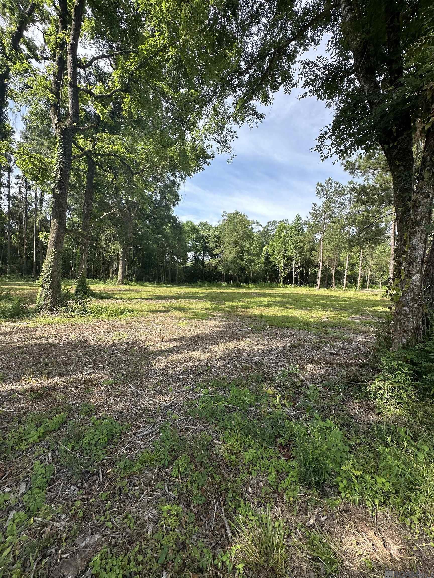 Tract C & D LA La Hwy 16, Denham Springs, Louisiana image 4