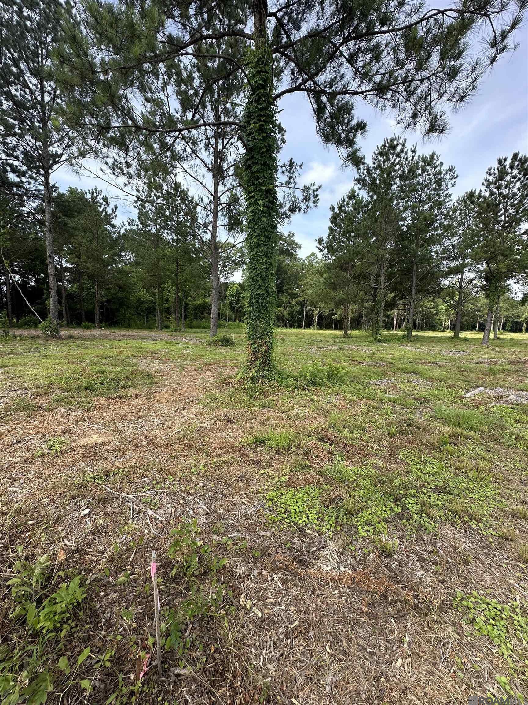 Tract C & D LA La Hwy 16, Denham Springs, Louisiana image 8