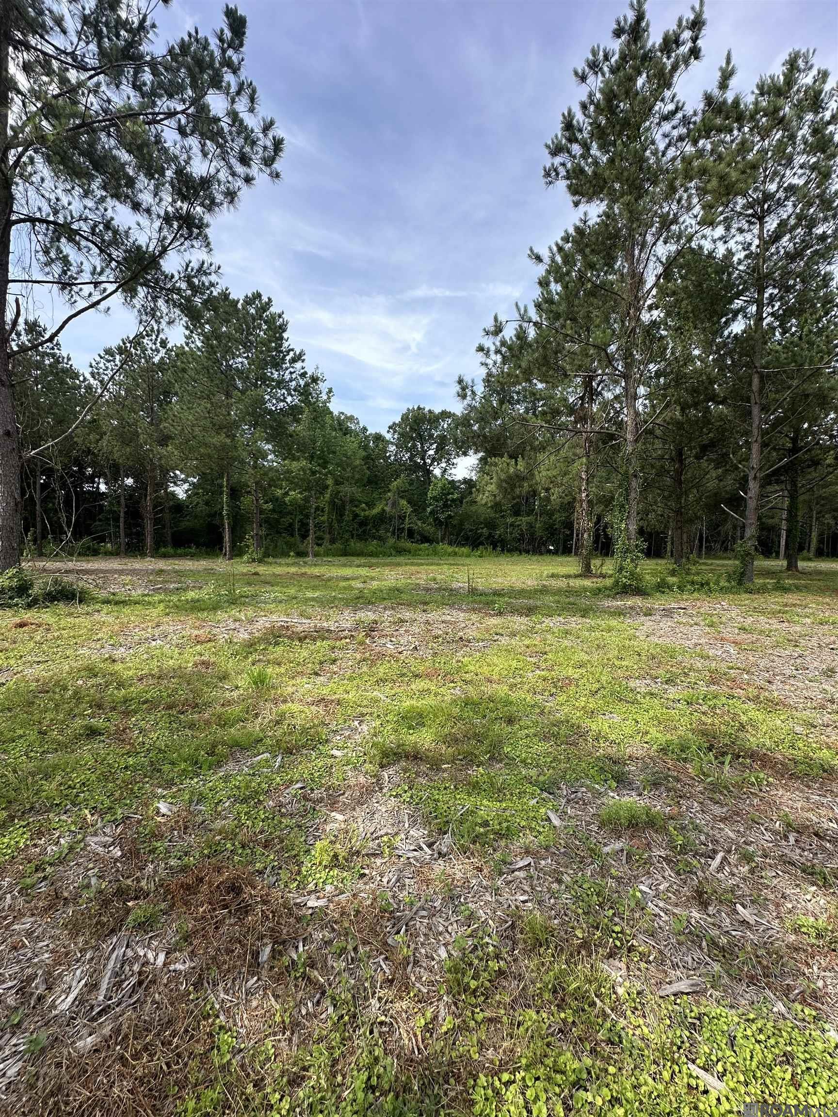 Tract C & D LA La Hwy 16, Denham Springs, Louisiana image 9